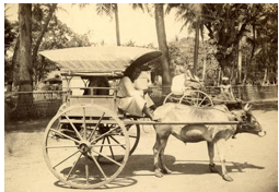 The Governors at Nattandiya - by GEORGE BRAINE