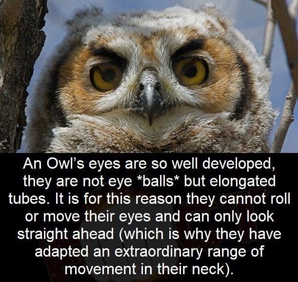 BAKERBENNETT BROADSIDE 