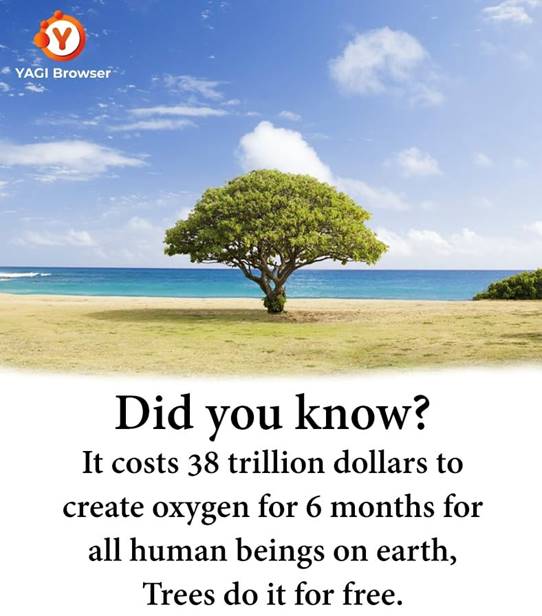 BAKERBENNETT BROADSIDE 