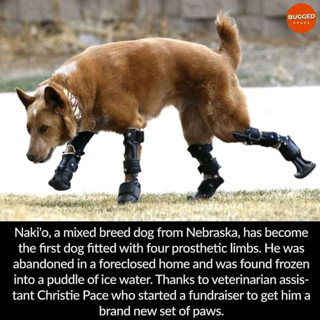 BAKERBENNETT BROADSIDE 