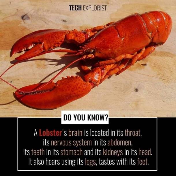 BAKERBENNETT BROADSIDE 