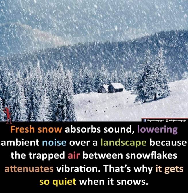 BAKERBENNETT BROADSIDE 