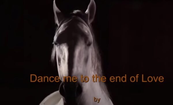 Dance me to the end of Love