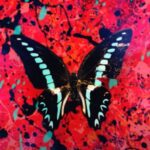 Ed Sheeran - First Times