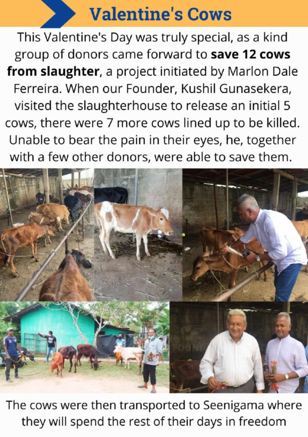 Good News From Jayam April 15, 2022 Pls Scroll Down 35 items