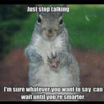 SQUIRRELS SAY