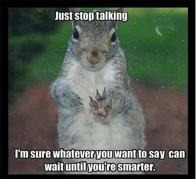 SQUIRRELS SAY