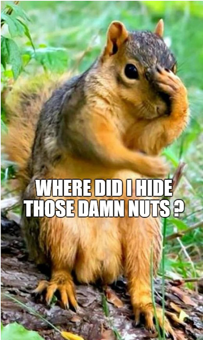 SQUIRRELS SAY
