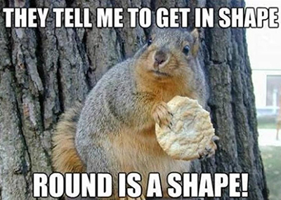 SQUIRRELS SAY
