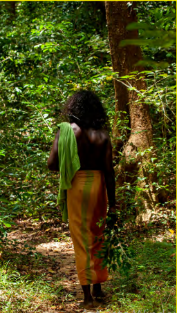 Gal Oya – by Stefan D'silva
