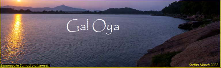 Gal Oya – by Stefan D’silva
