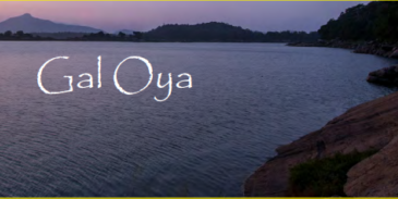 Gal Oya – by Stefan D'silva