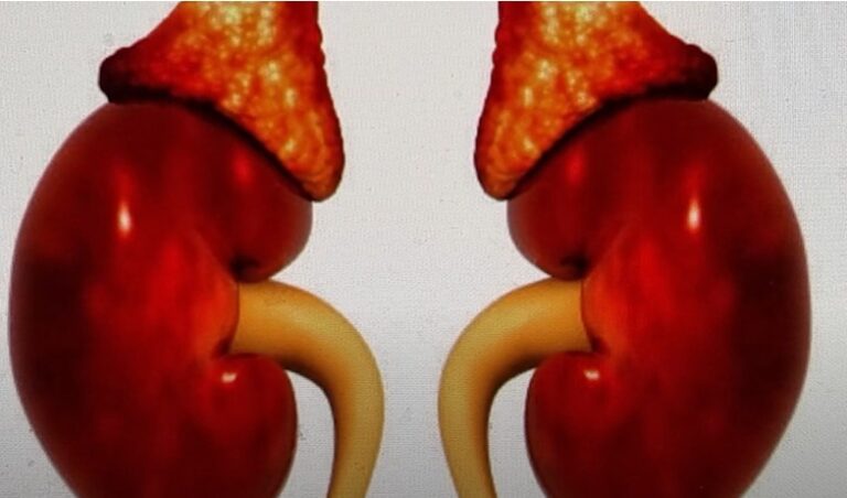 What are beta Blockers & who should take them?-Dr Harold Gunatillake