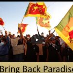 Bring Back Paradise