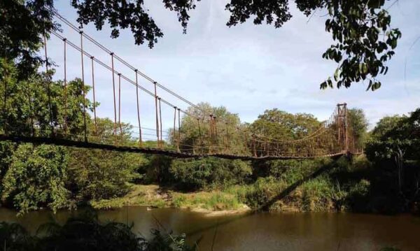 Kunchikulam Suspension Bridge - rare structure in the wilderness - By Arundathie Abeysinghe
