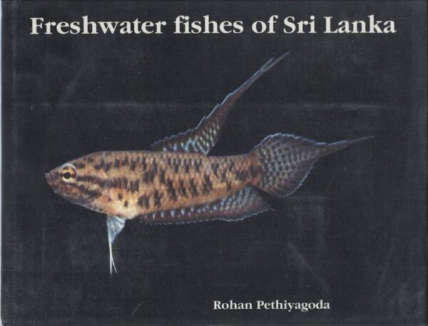 Linnean Medal, the 'Nobel Prize' for naturalists won by old Thomian Rohan Pethiyagoda – by Sunil Thenabadu