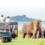 Wilpattu National Park