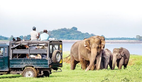 Wilpattu National Park