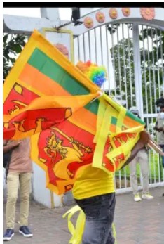 Sri Lankan Cricket Fans