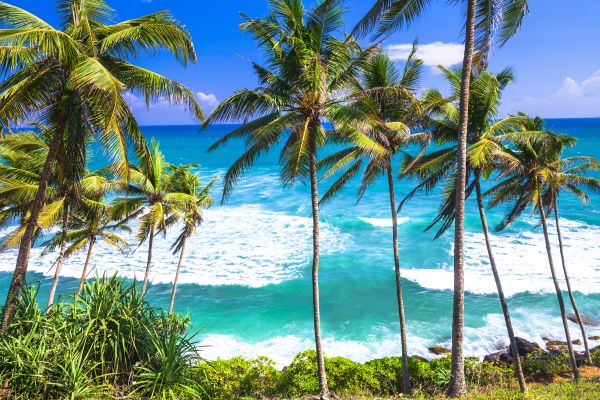Visit Sri Lanka 