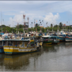 Scared of hunger, Sri Lankans are willing to risk their lives on boats - By Chris Barrett