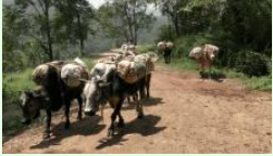 Stories Behind Names of Places in Sri Lanka: TAWALAMA - By Dr. Nimal Sedera