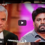 Sri Lanka's Plight & Light - By Dr Harold Gunatillake