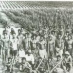 Ceylon to Australia
