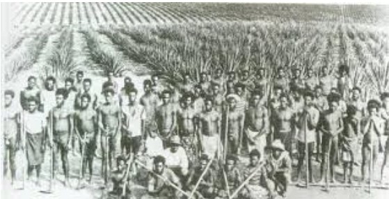 Ceylon to Australia