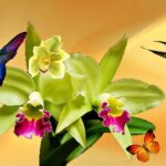 Lessons from the Bees, Butterflies, Insects & Birds. - By Noor Rahim
