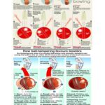 Swinging & Tampering of Ball.pdf