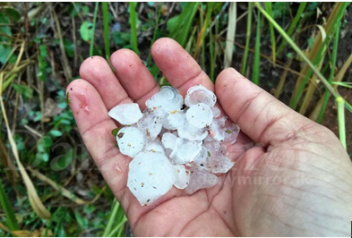 A hailstorm at Dankotuwa - By GEORGE BRAINE