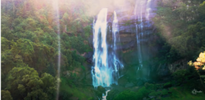 "NUWARA ELIYA" – by Des Kelly