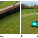PITCH PREPARATION FOR A MATCH - By Dr. Gnana Sankaralingam