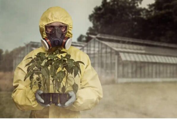 Australian food is grown