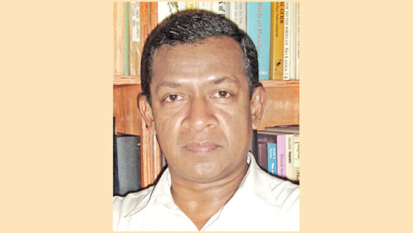 Kelum Nalinda Manamendra-Arachchi