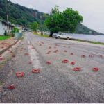 Red Crabs