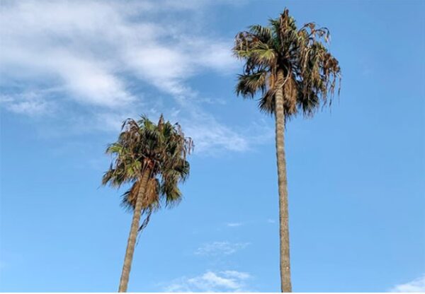 clear blue sky