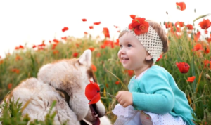 One for My Baby - by Peter de Niese 