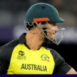 stoinis