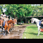 100 years of Equestrian Excellence