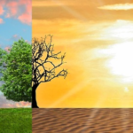 CLIMATE