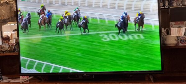 Melbourne Cup