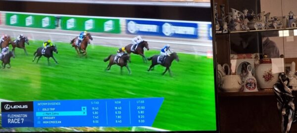 Melbourne Cup