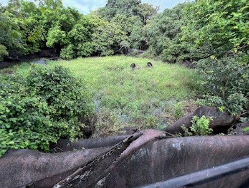 Trincomalee Oil Tank Farm