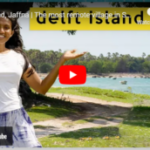 DELFT ISLAND – by Des Kelly