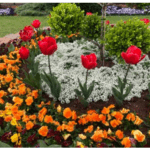 Toowoomba Carnival of Flowers bus trip - By Denis Anthonisz