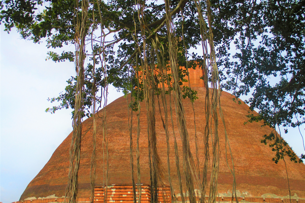 Anuradapura