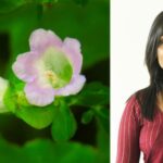 Dr. Nilanthi Rajapakse