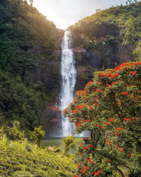 Gartmore Falls Nuwara Eliya Sri Lanka - By Nishantha Weragoda